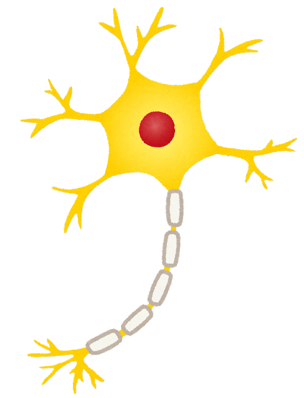 Biology/生物学